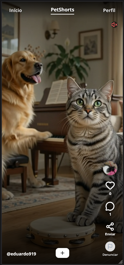 Feed de vídeos curtos de pets no bairro estilo Reels